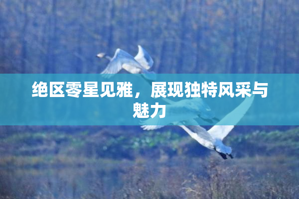 绝区零星见雅，展现独特风采与魅力