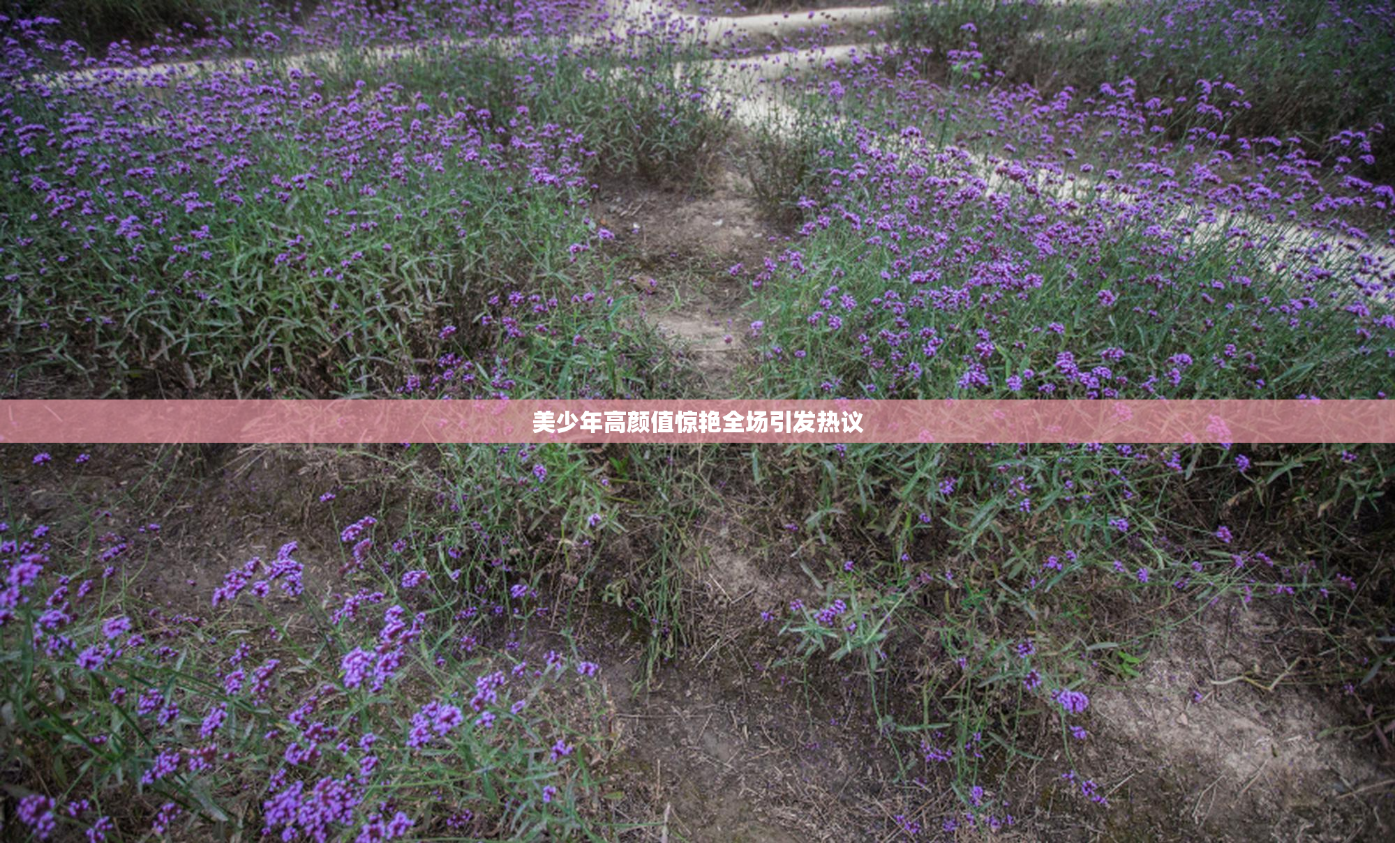 美少年高颜值惊艳全场引发热议