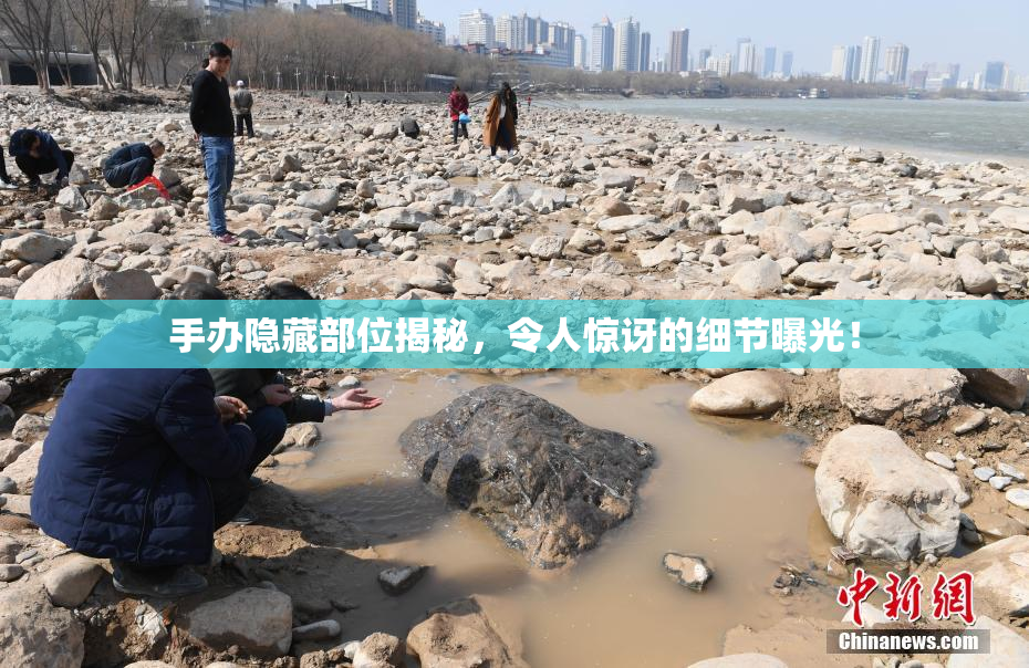 手办隐藏部位揭秘，令人惊讶的细节曝光！