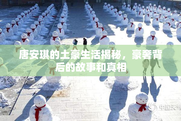 唐安琪的土豪生活揭秘，豪奢背后的故事和真相