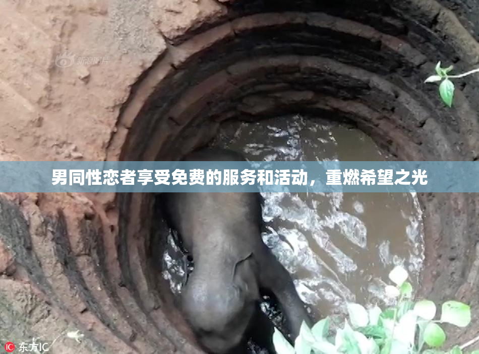 男同性恋者享受免费的服务和活动，重燃希望之光