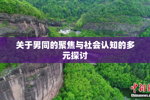关于男同的聚焦与社会认知的多元探讨