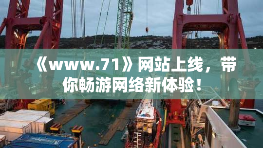 《www.71》网站上线，带你畅游网络新体验！
