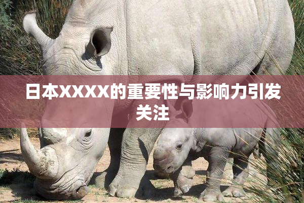 日本XXXX的重要性与影响力引发关注