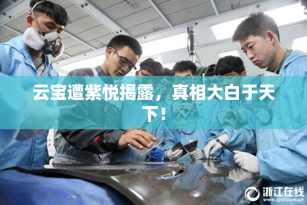 云宝遭紫悦揭露，真相大白于天下！