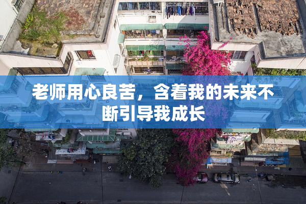 老师用心良苦，含着我的未来不断引导我成长