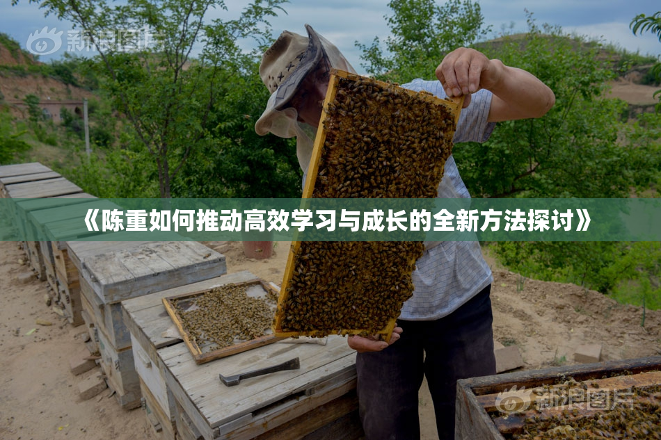 《陈重如何推动高效学习与成长的全新方法探讨》