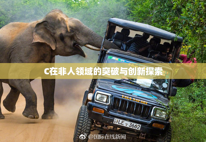 C在非人领域的突破与创新探索