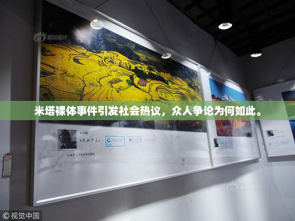 米塔裸体事件引发社会热议，众人争论为何如此。