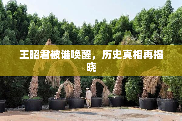 王昭君被谁唤醒，历史真相再揭晓