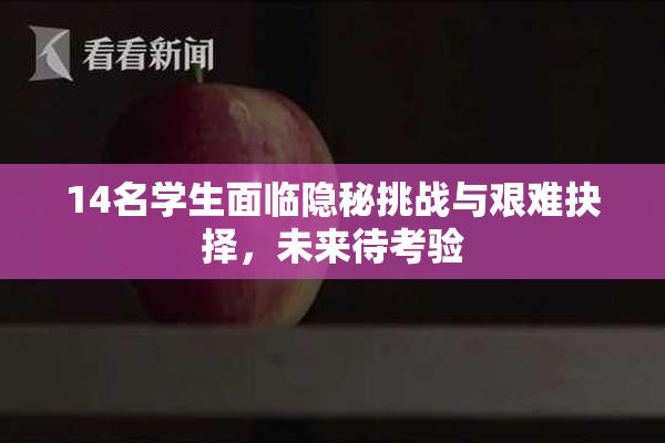 14名学生面临隐秘挑战与艰难抉择，未来待考验