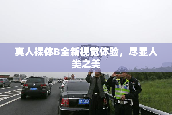 真人裸体B全新视觉体验，尽显人类之美