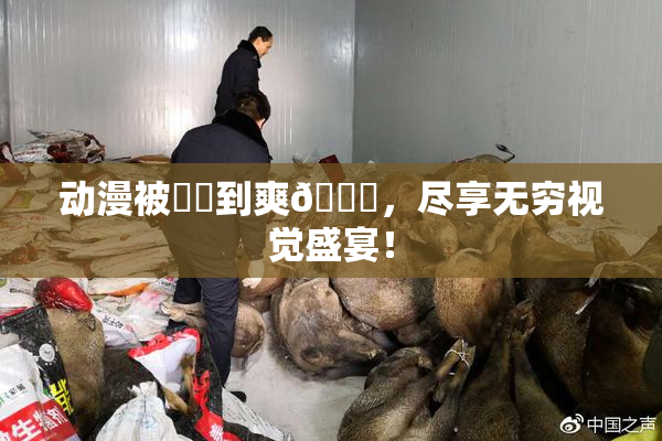 动漫被❌‌到爽🔞，尽享无穷视觉盛宴！