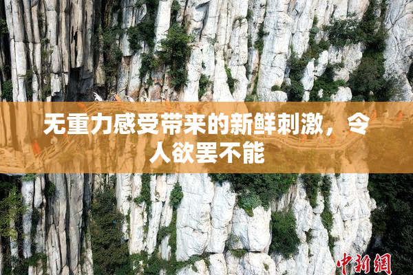无重力感受带来的新鲜刺激，令人欲罢不能