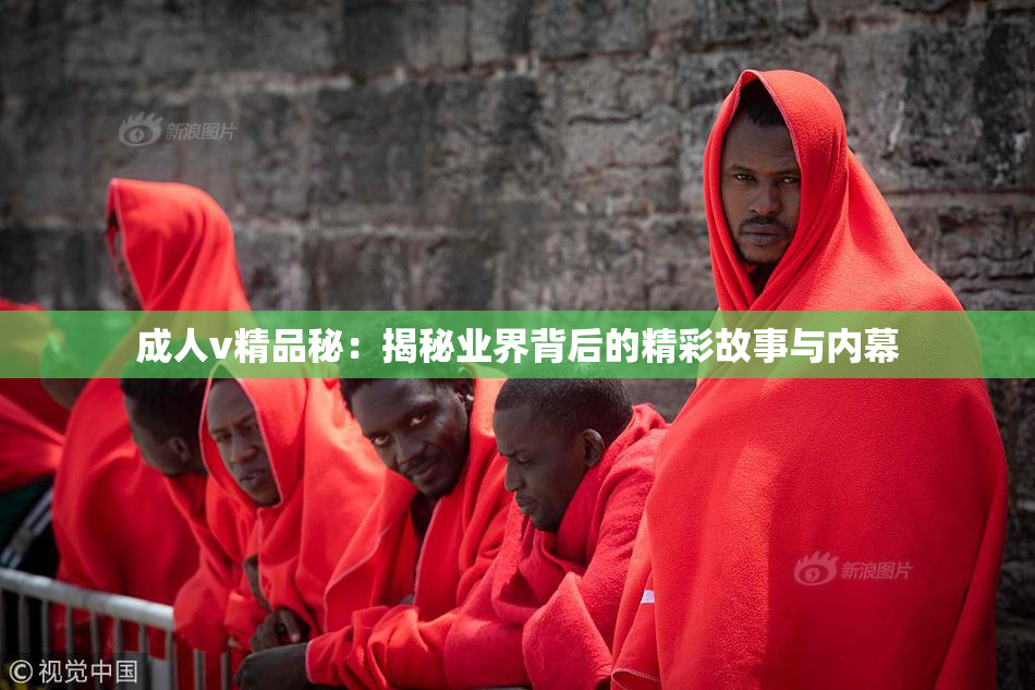 成人v精品秘：揭秘业界背后的精彩故事与内幕