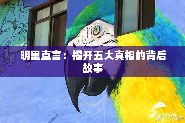 明里直言：揭开五大真相的背后故事