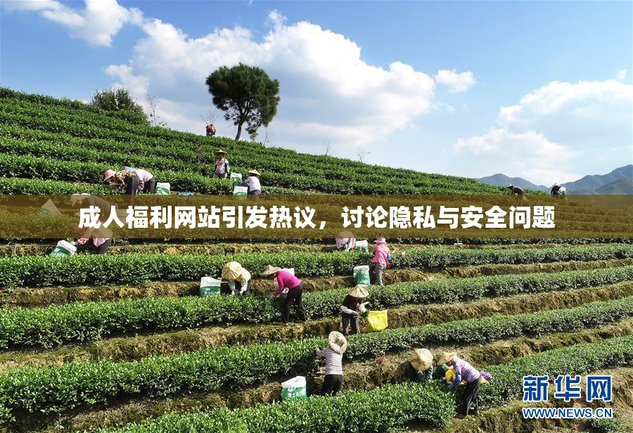 成人福利网站引发热议，讨论隐私与安全问题