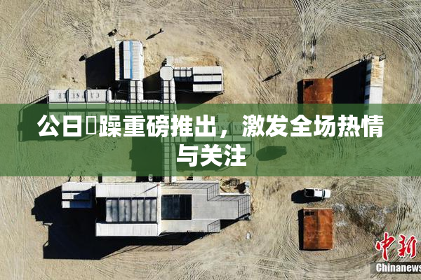 公日鬧躁重磅推出，激发全场热情与关注
