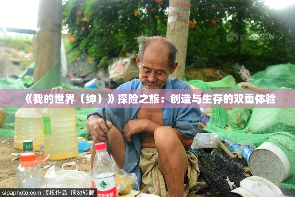 《我的世界（绅）》探险之旅：创造与生存的双重体验