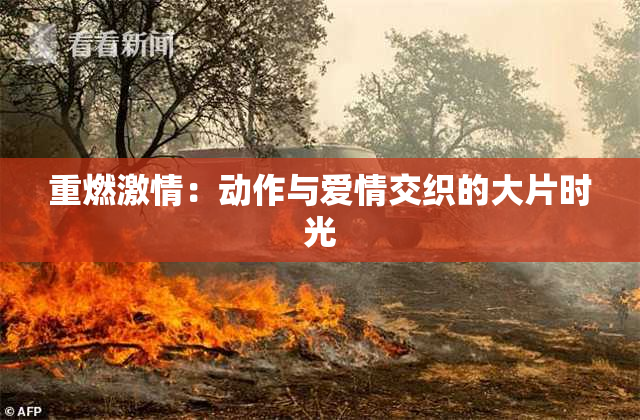 重燃激情：动作与爱情交织的大片时光