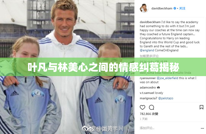 叶凡与林美心之间的情感纠葛揭秘