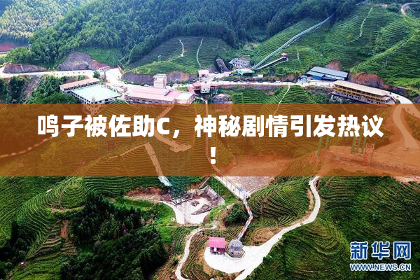 鸣子被佐助C，神秘剧情引发热议！
