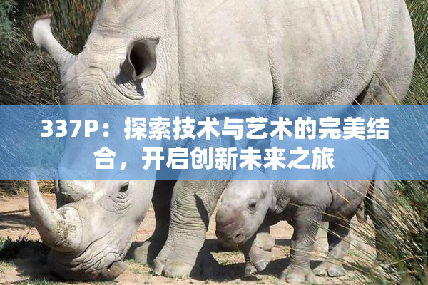 337P：探索技术与艺术的完美结合，开启创新未来之旅