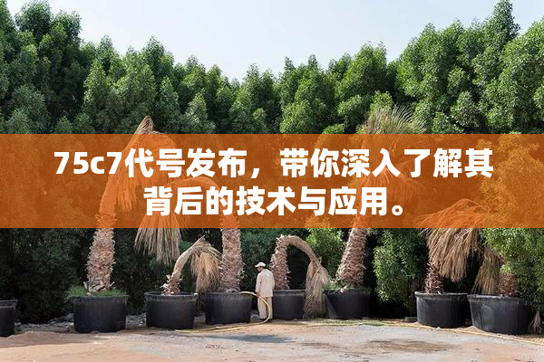 75c7代号发布，带你深入了解其背后的技术与应用。
