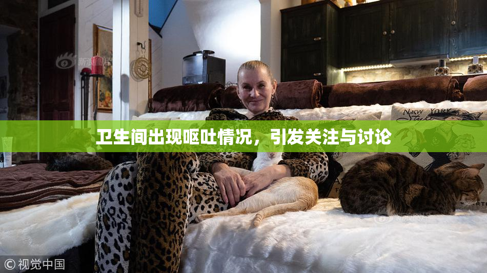 卫生间出现呕吐情况，引发关注与讨论