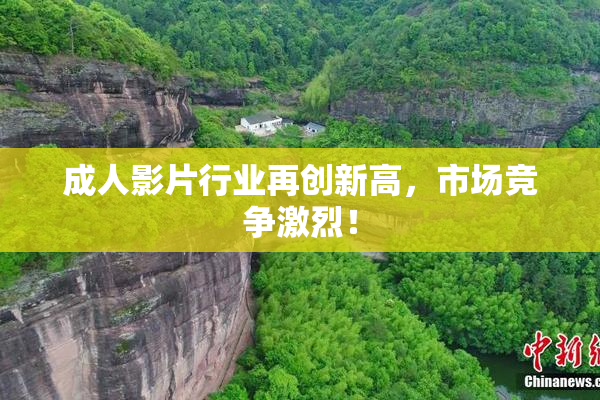 成人影片行业再创新高，市场竞争激烈！