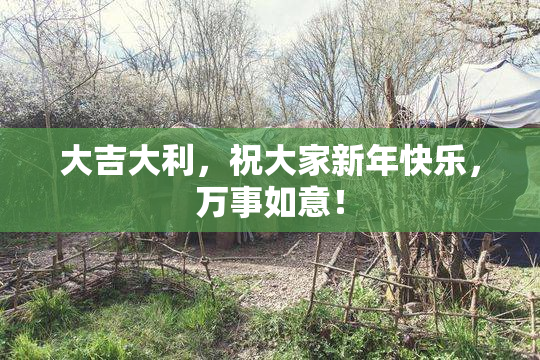 大吉大利，祝大家新年快乐，万事如意！