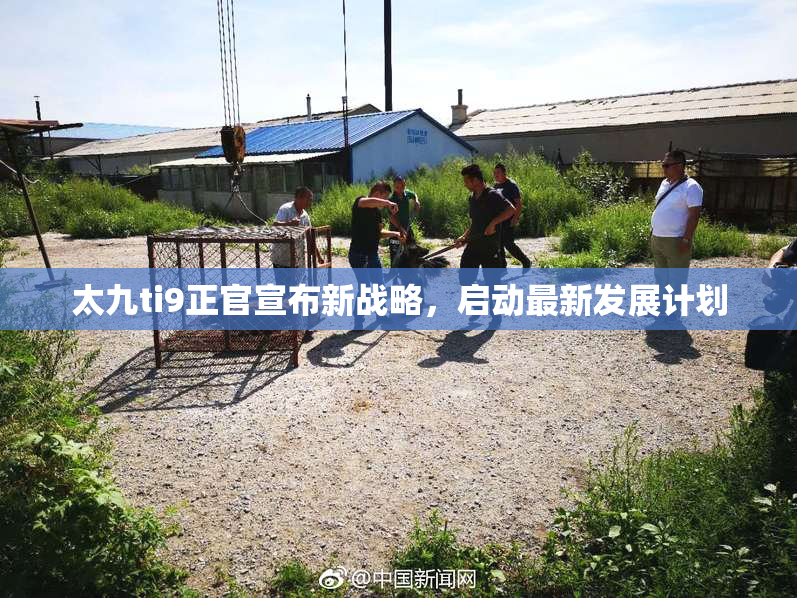 太九ti9正官宣布新战略，启动最新发展计划