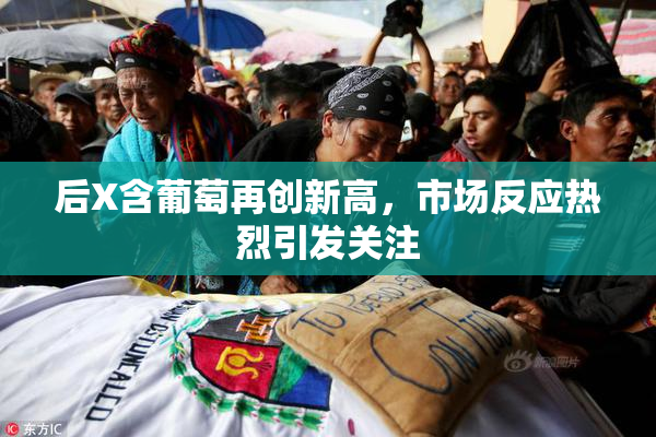 后X含葡萄再创新高，市场反应热烈引发关注