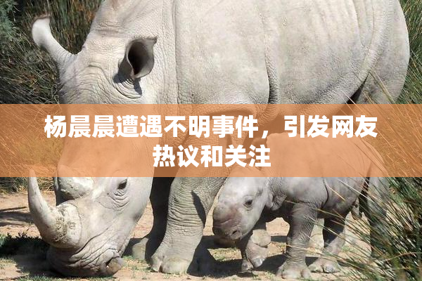 杨晨晨遭遇不明事件，引发网友热议和关注