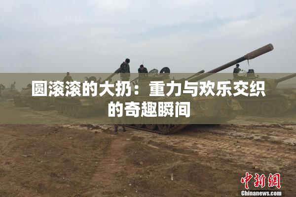 圆滚滚的大扔：重力与欢乐交织的奇趣瞬间