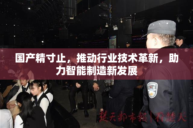 国产精寸止，推动行业技术革新，助力智能制造新发展