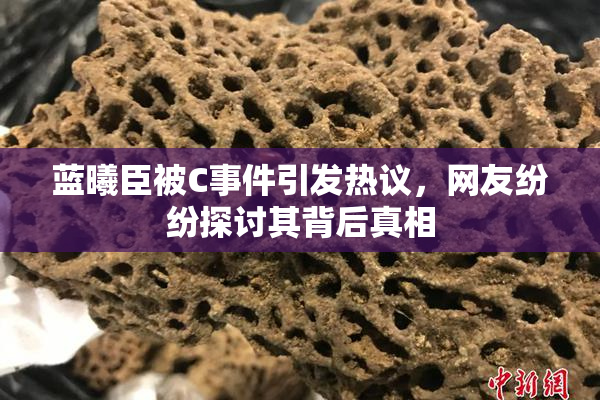 蓝曦臣被C事件引发热议，网友纷纷探讨其背后真相
