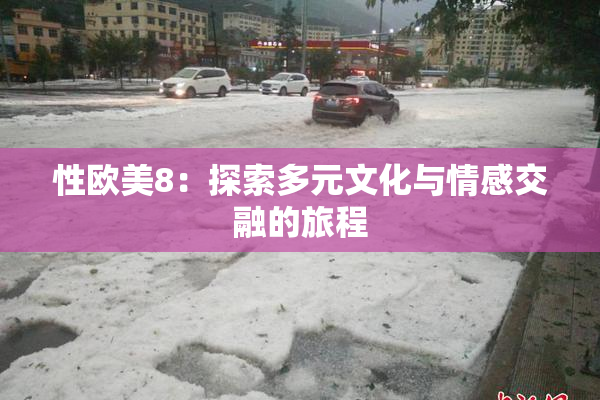 性欧美8：探索多元文化与情感交融的旅程
