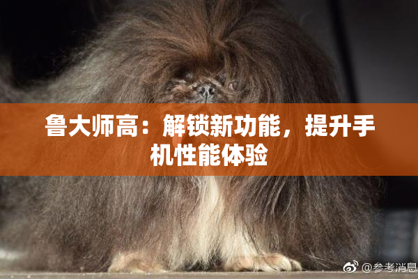 鲁大师高：解锁新功能，提升手机性能体验