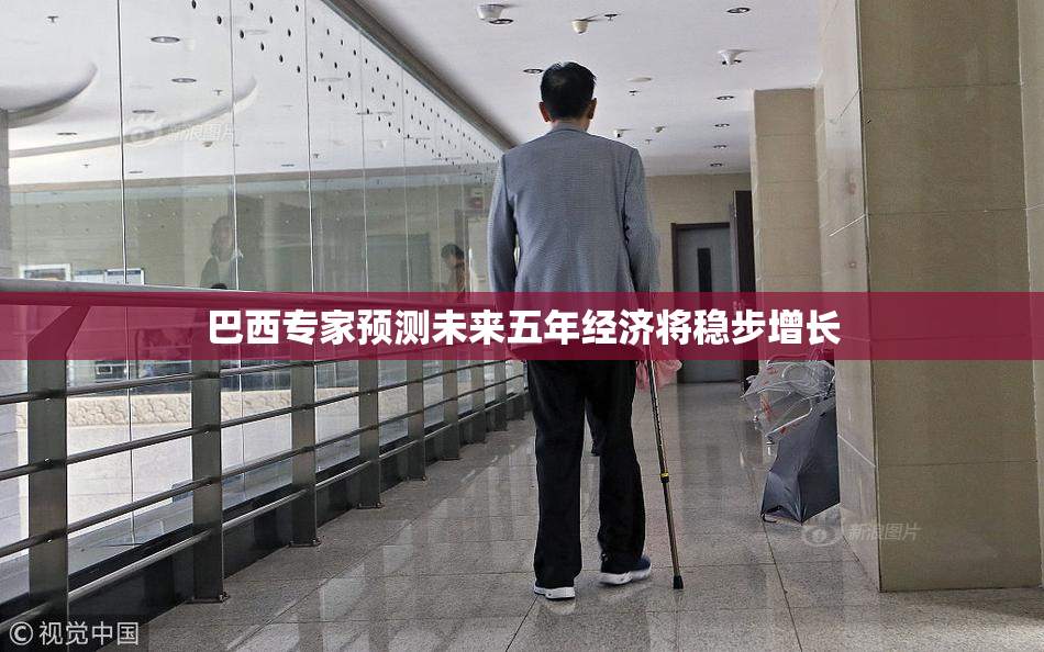 巴西专家预测未来五年经济将稳步增长
