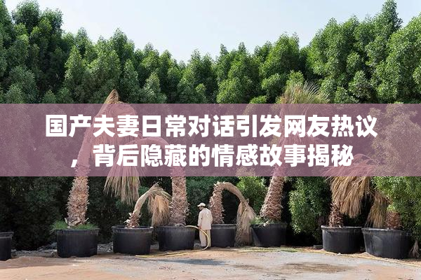 国产夫妻日常对话引发网友热议，背后隐藏的情感故事揭秘