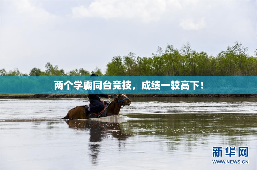 两个学霸同台竞技，成绩一较高下！