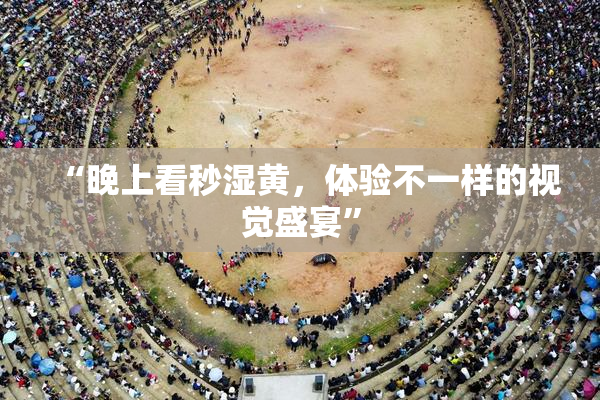 “晚上看秒湿黄，体验不一样的视觉盛宴”