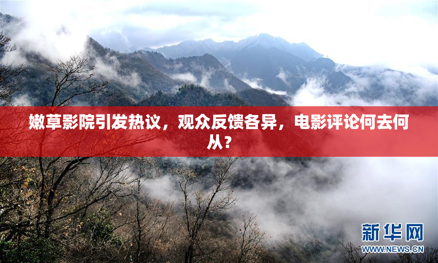 嫩草影院引发热议，观众反馈各异，电影评论何去何从？