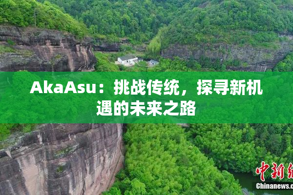 AkaAsu：挑战传统，探寻新机遇的未来之路