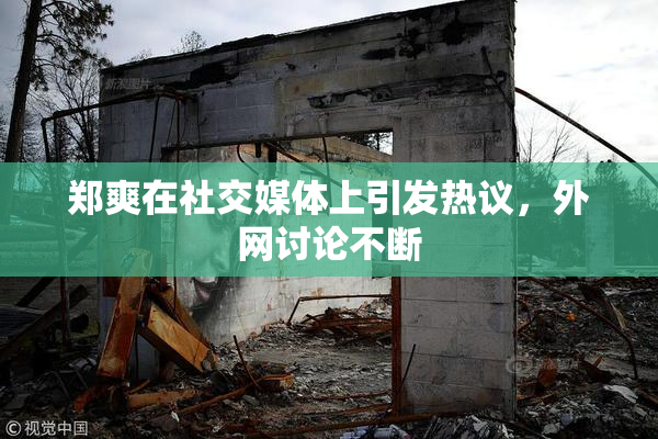 郑爽在社交媒体上引发热议，外网讨论不断