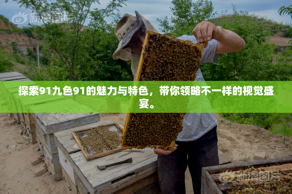 探索91九色91的魅力与特色，带你领略不一样的视觉盛宴。