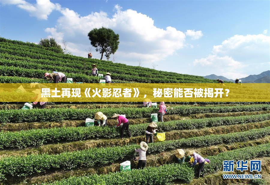 黑土再现《火影忍者》，秘密能否被揭开？