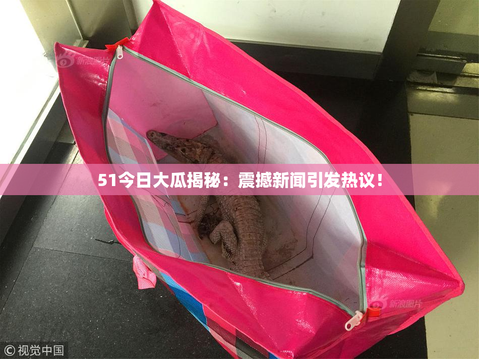 51今日大瓜揭秘：震撼新闻引发热议！