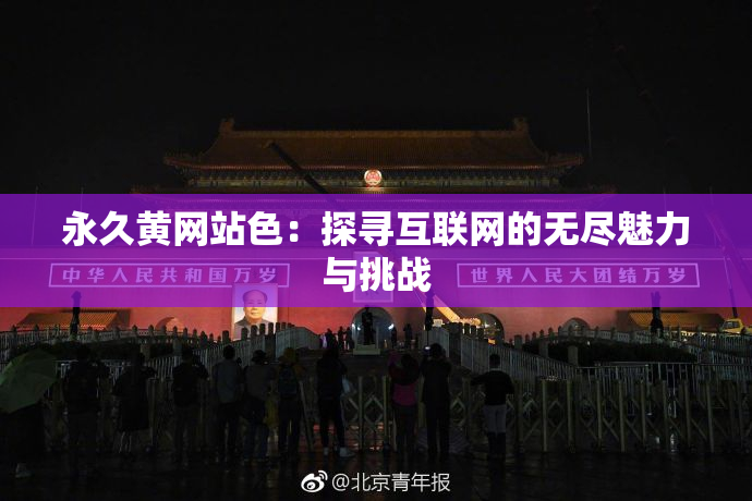 永久黄网站色：探寻互联网的无尽魅力与挑战
